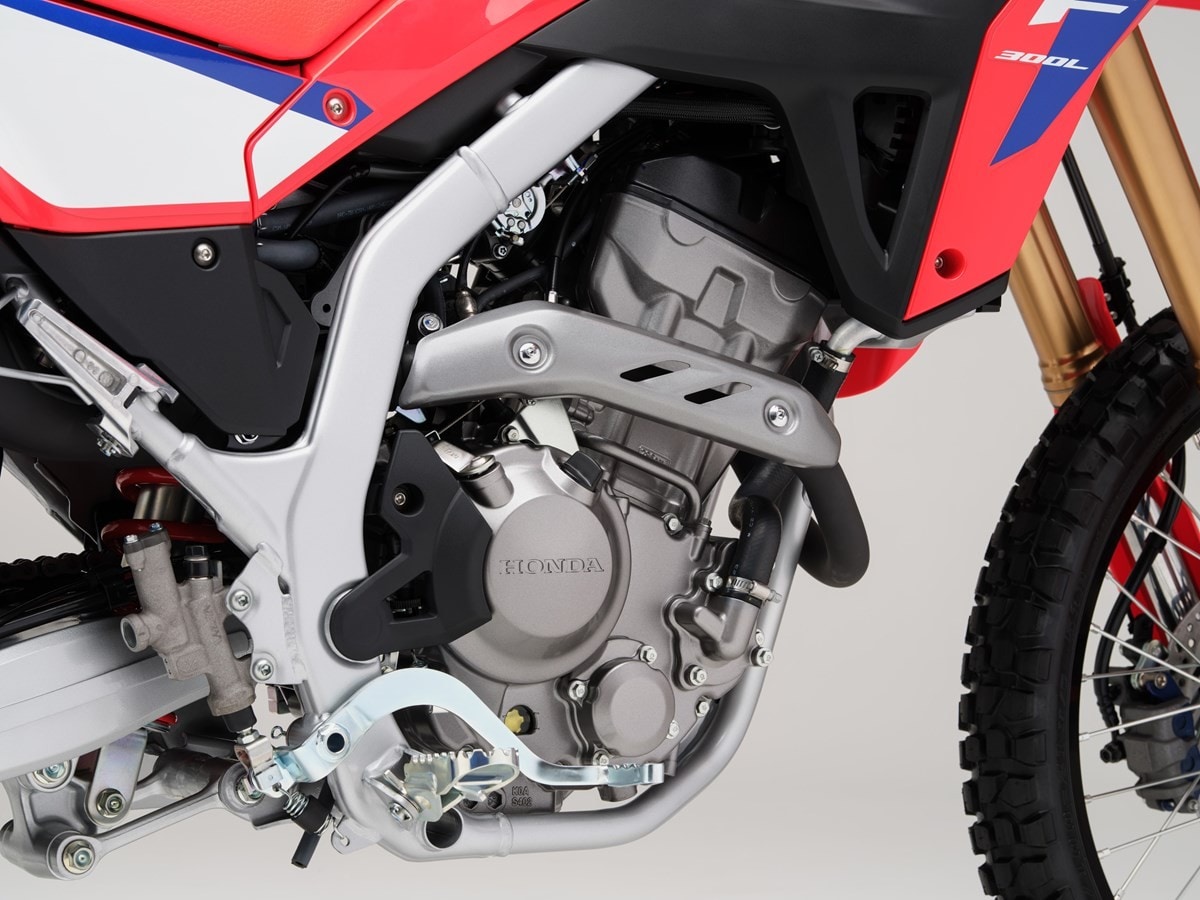 Honda CRF300L e Rally: novità di dettaglio per le piccole dual giapponesi